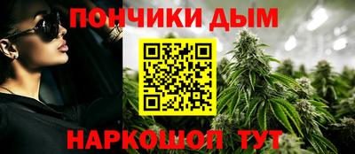 сатива Нальчик