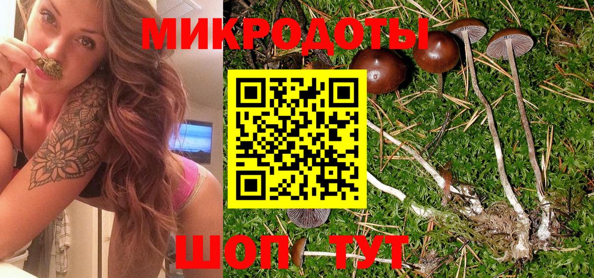 Псилоцибиновые грибы Cubensis Советск